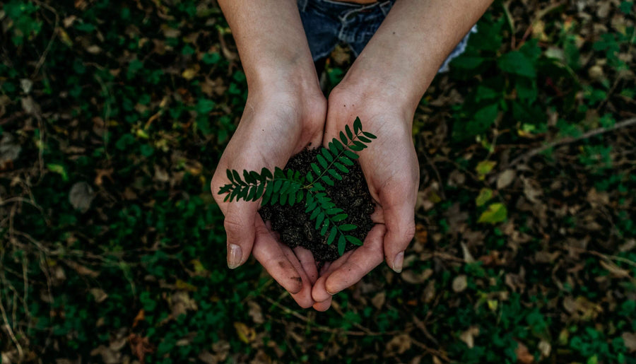 4 Trees Planted for every Product sold.