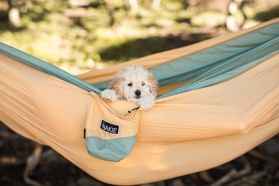 Golden Mango - Recycled Hammock with Straps